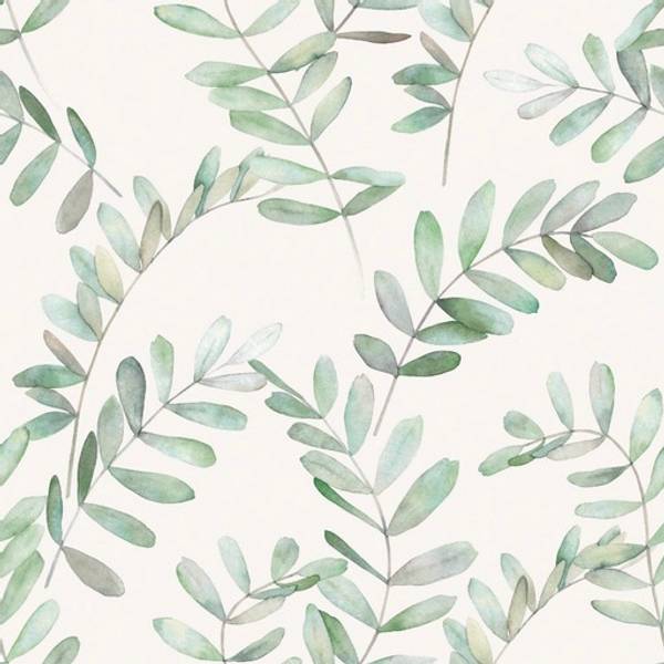 jersey eucalyptus